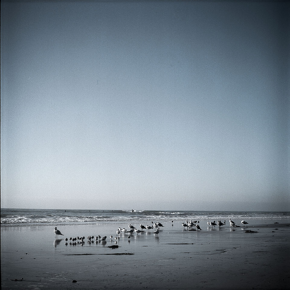 David Bernie Yashica Mat 124G Film Photography Encinitas California Swami's Beach