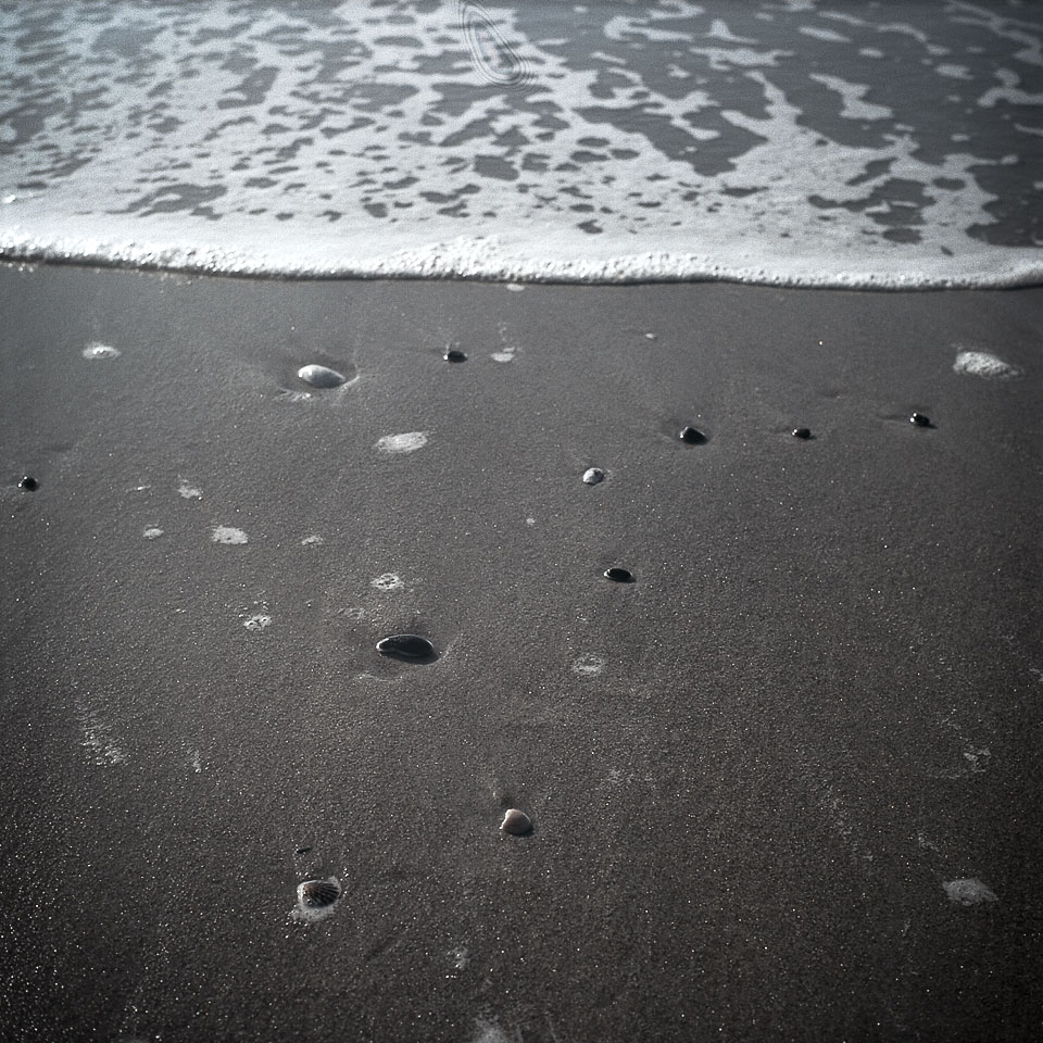 David Bernie Yashica Mat 124G Film Photography Encinitas California Swami's Beach