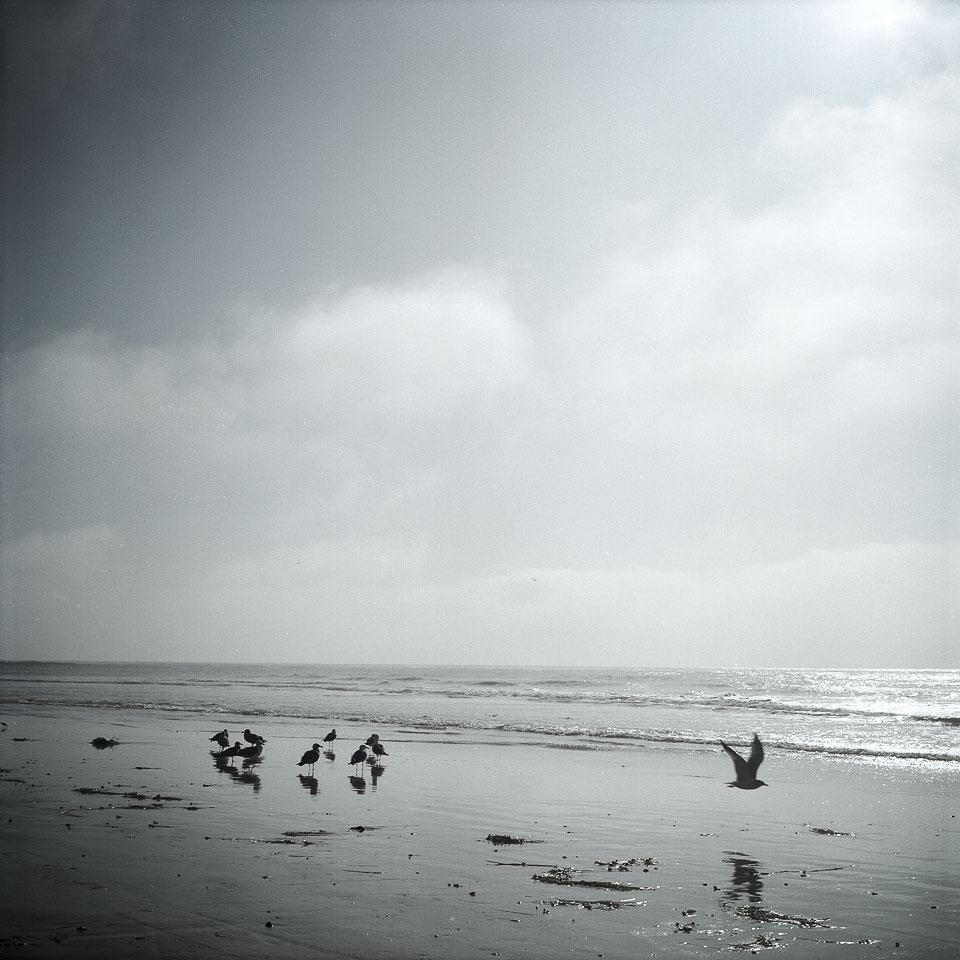 David Bernie Yashica Mat 124G Film Photography Encinitas California Swami's Beach