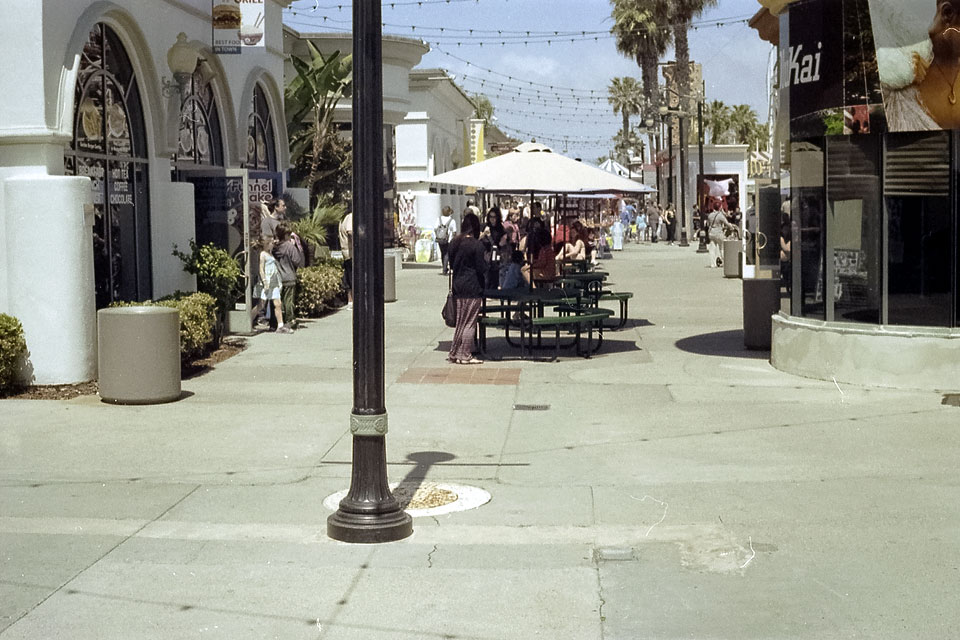 Belmont Park by David Bernie