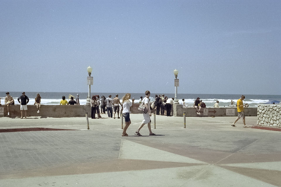 Belmont Park by David Bernie