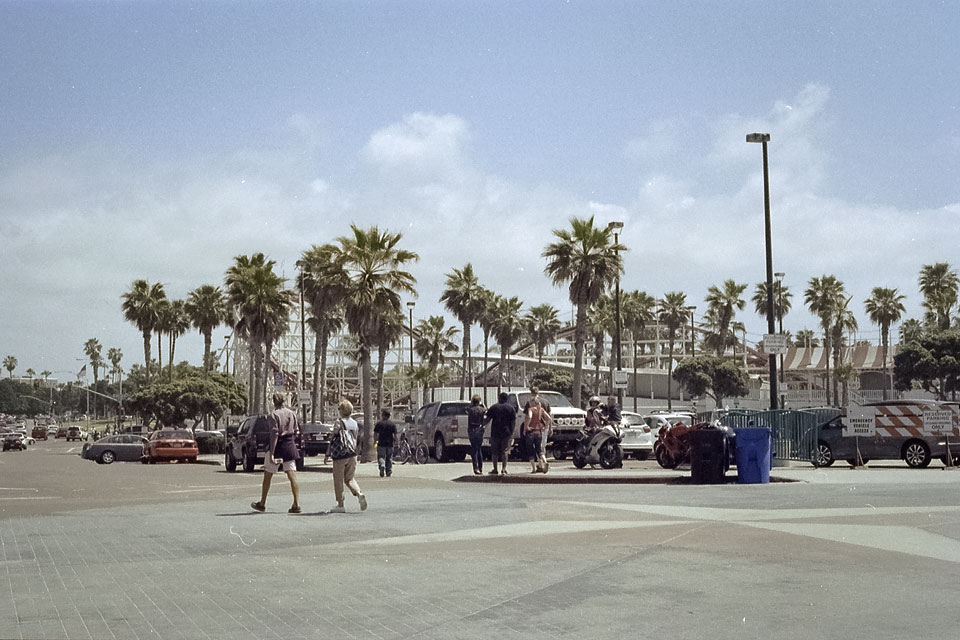 Belmont Park by David Bernie