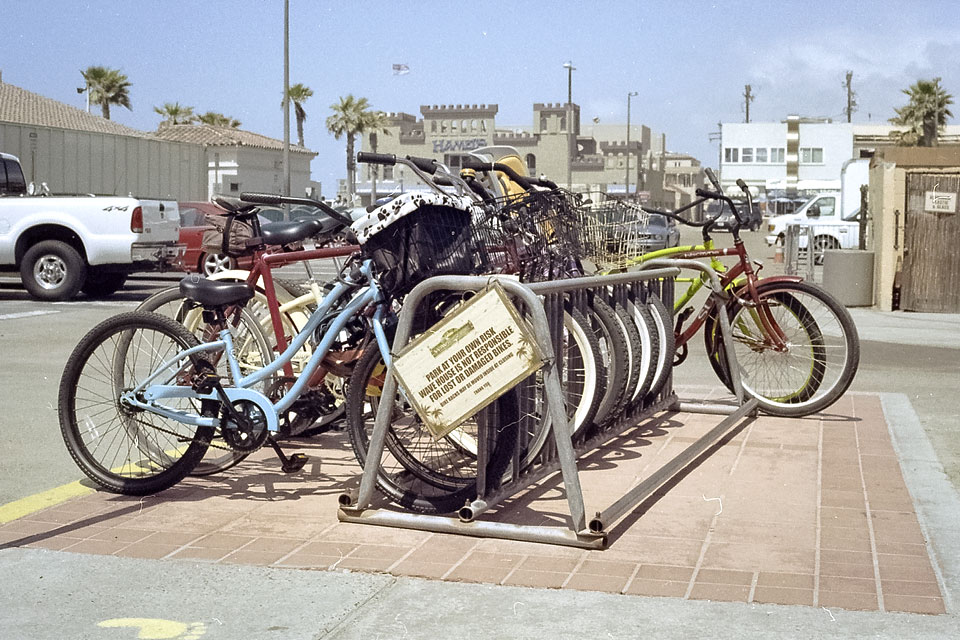 Belmont Park by David Bernie