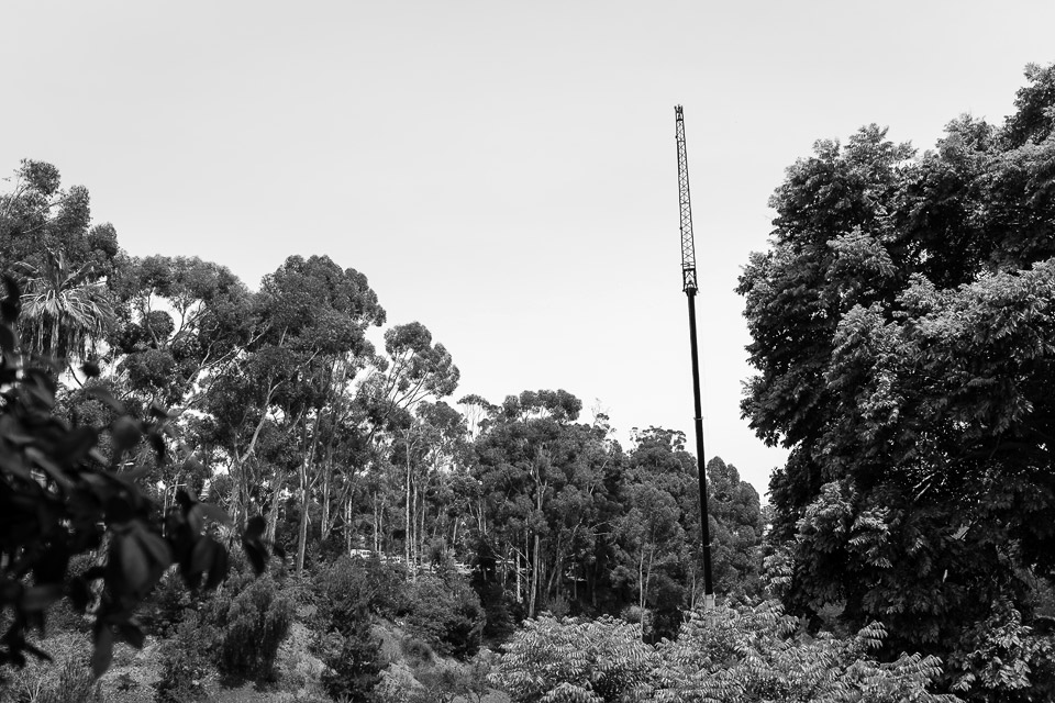 Balboa Park San Diego Balboa Park Digital Series David Bernie Fuji x100sby David Bernie and x100s