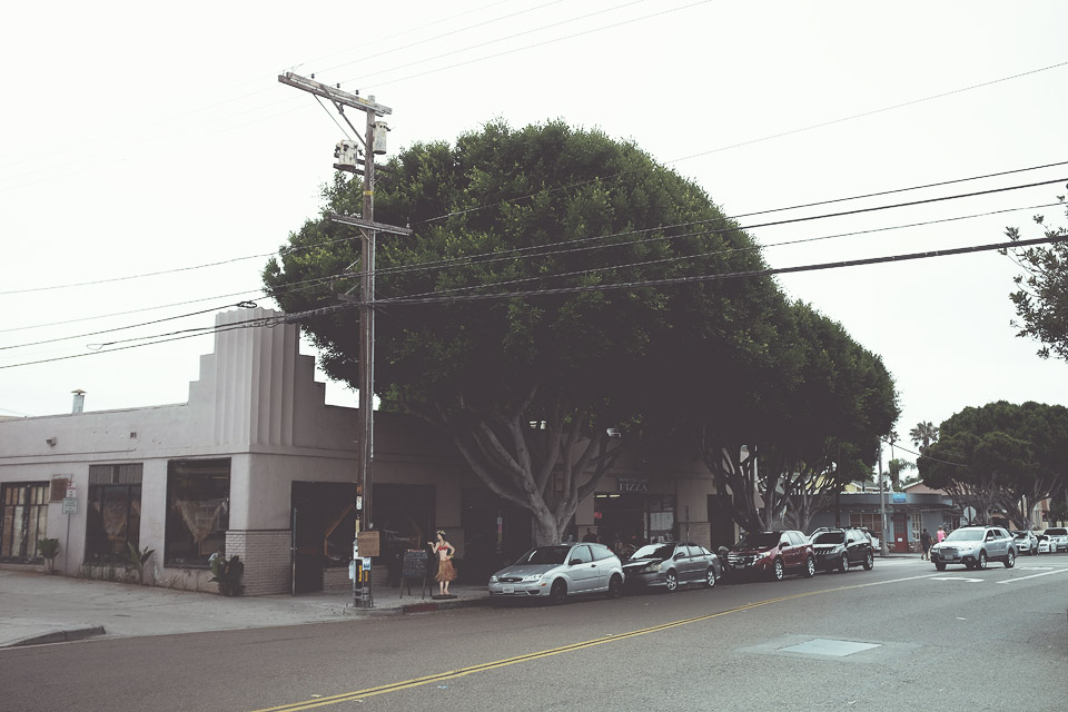 Highway 101 Encinitas California by David Bernie