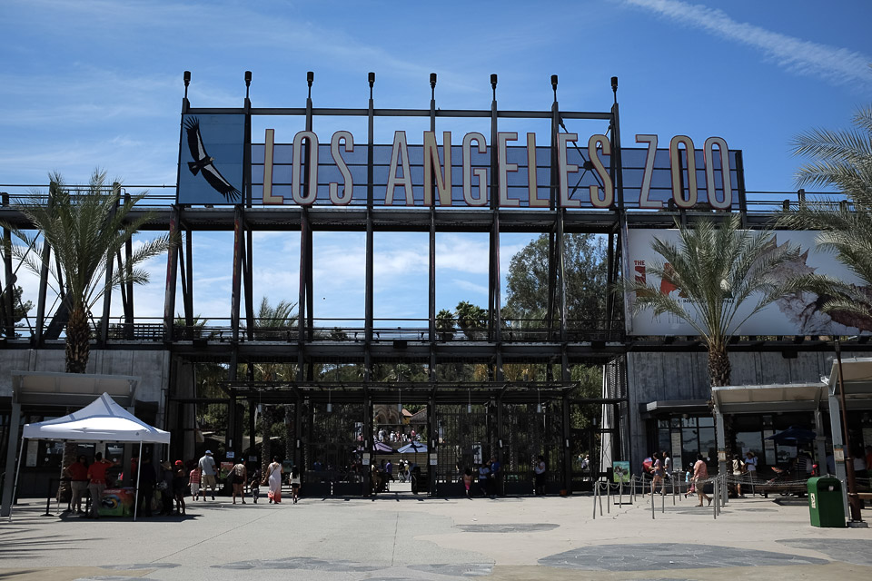 Los Angeles Zoo by David Bernie