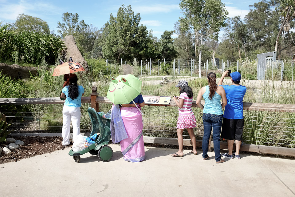 Los Angeles Zoo by David Bernie