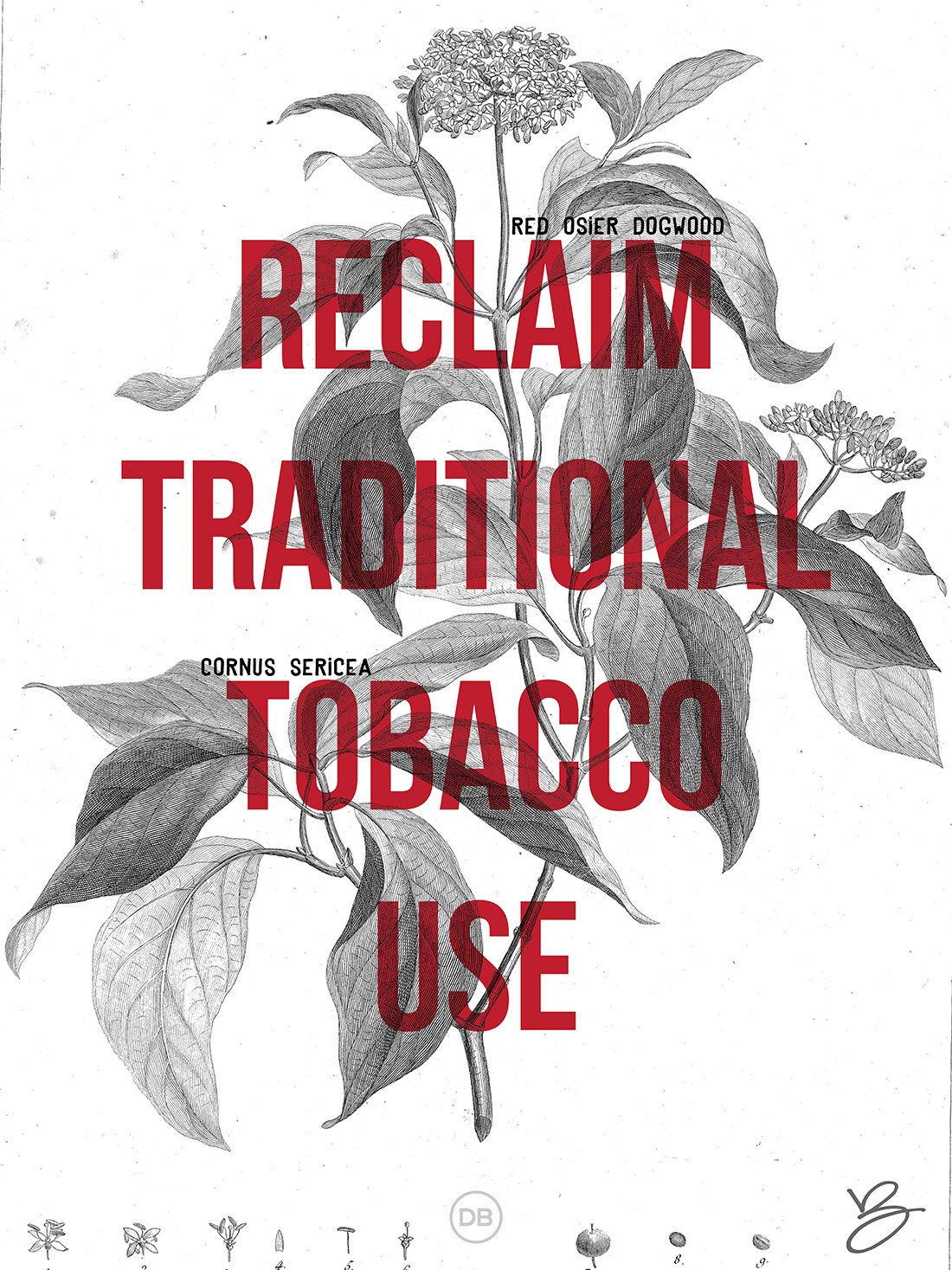 David Bernie Indian Country 52 1 Reclaim Traditional Tobacco Use