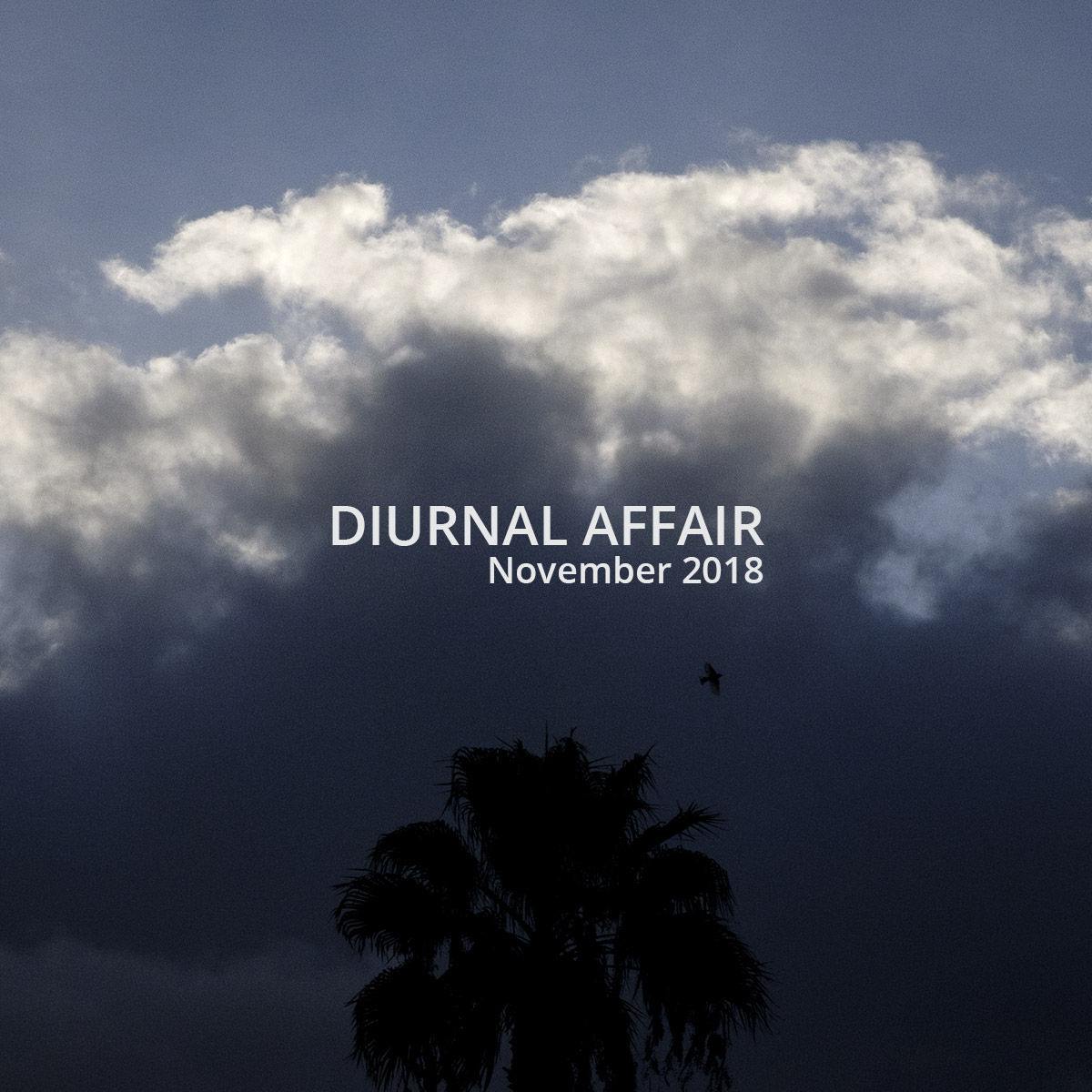 David Bernie Photography Photos Diurnal Affair Project