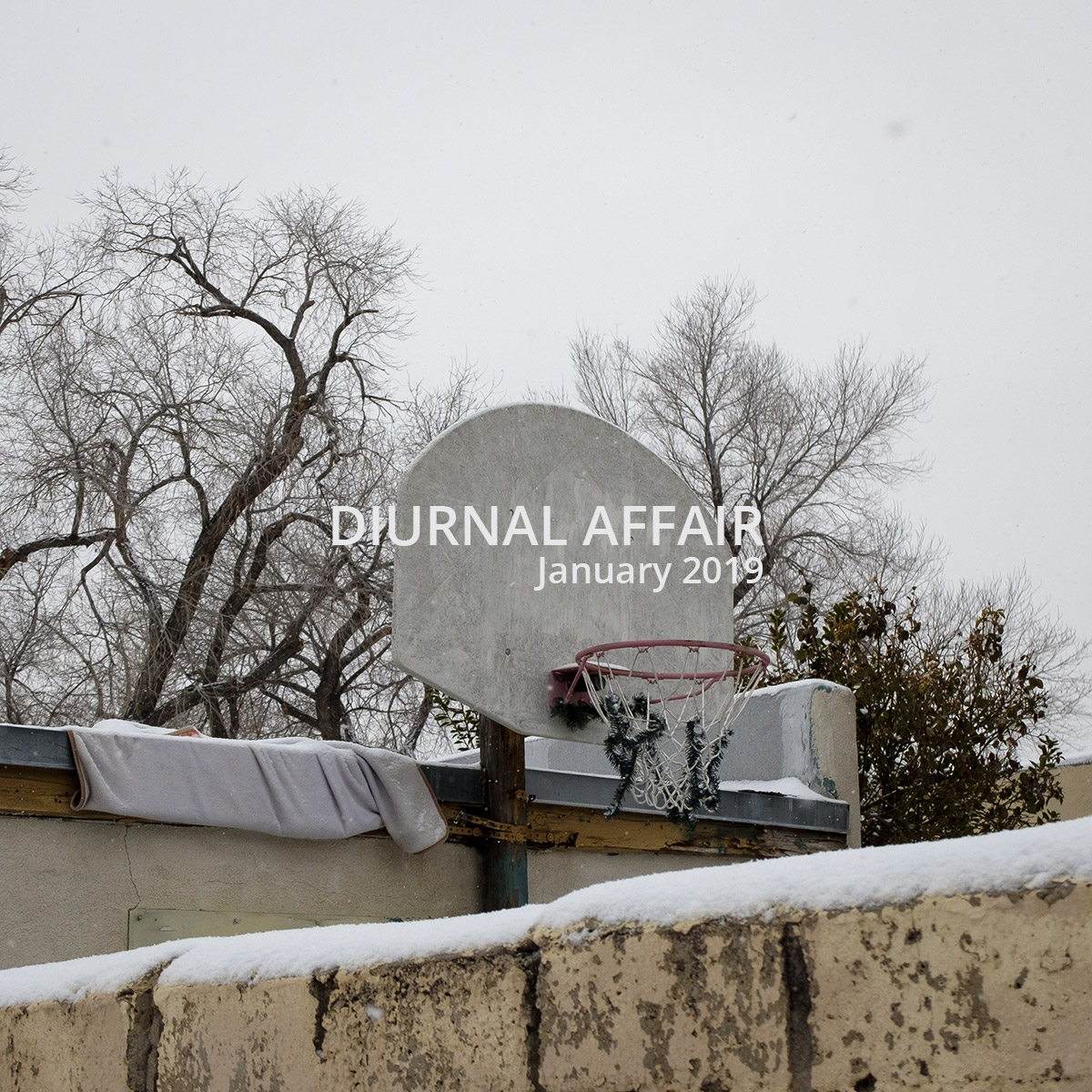 David Bernie Photography Photos Diurnal Affair Project