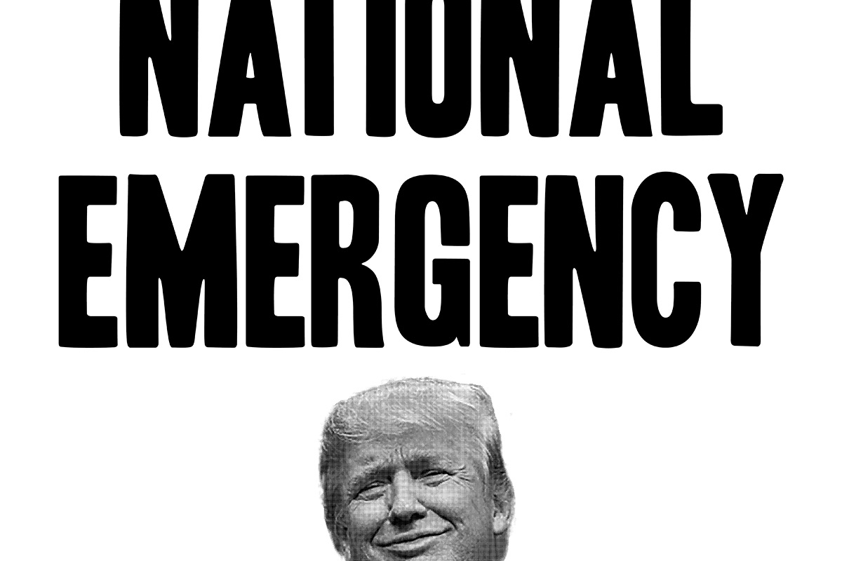 David Bernie Print Poster National Emergency Trump