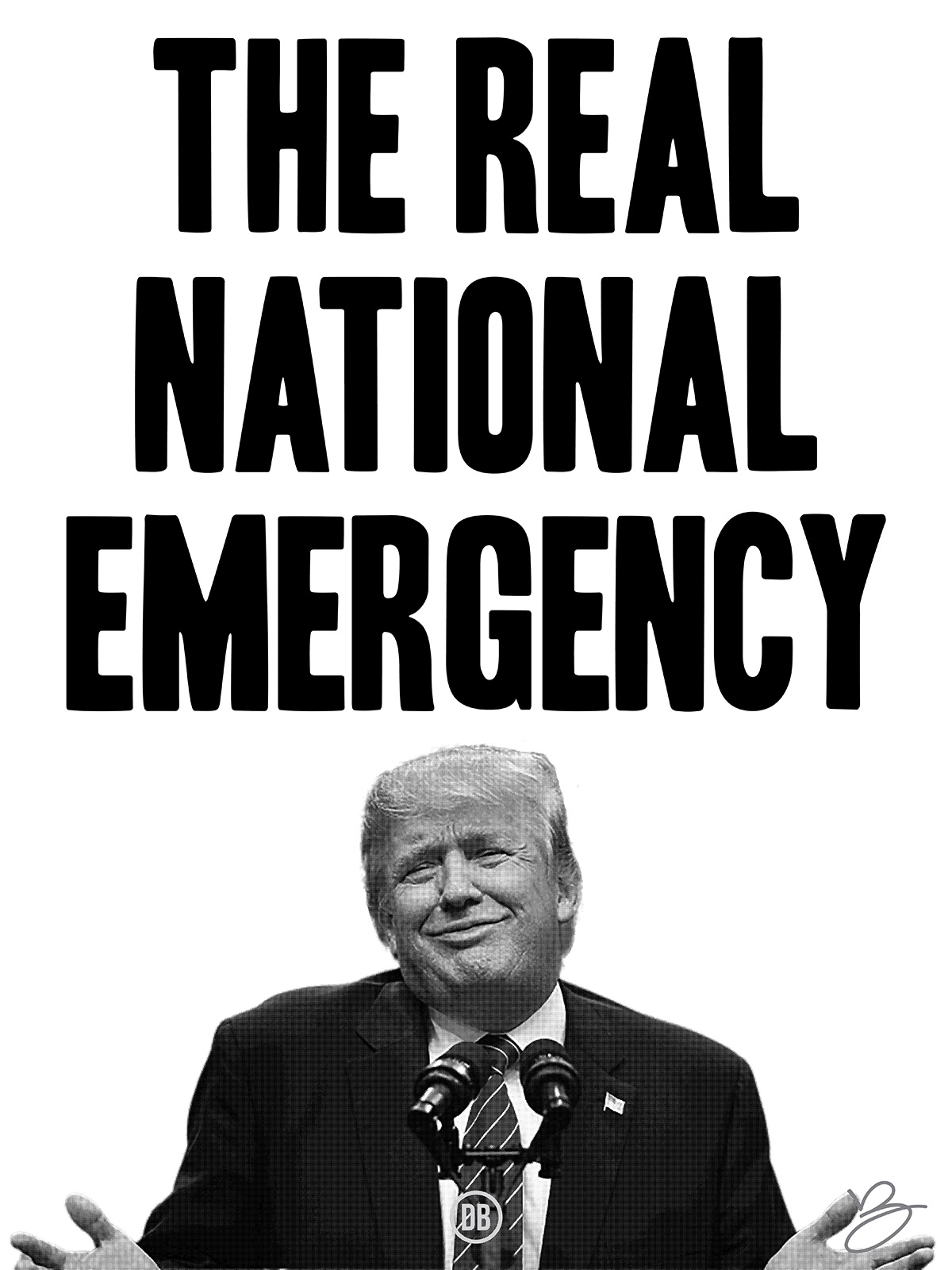 David Bernie Poster Print National Emergency Donald Trump Immigration Racism