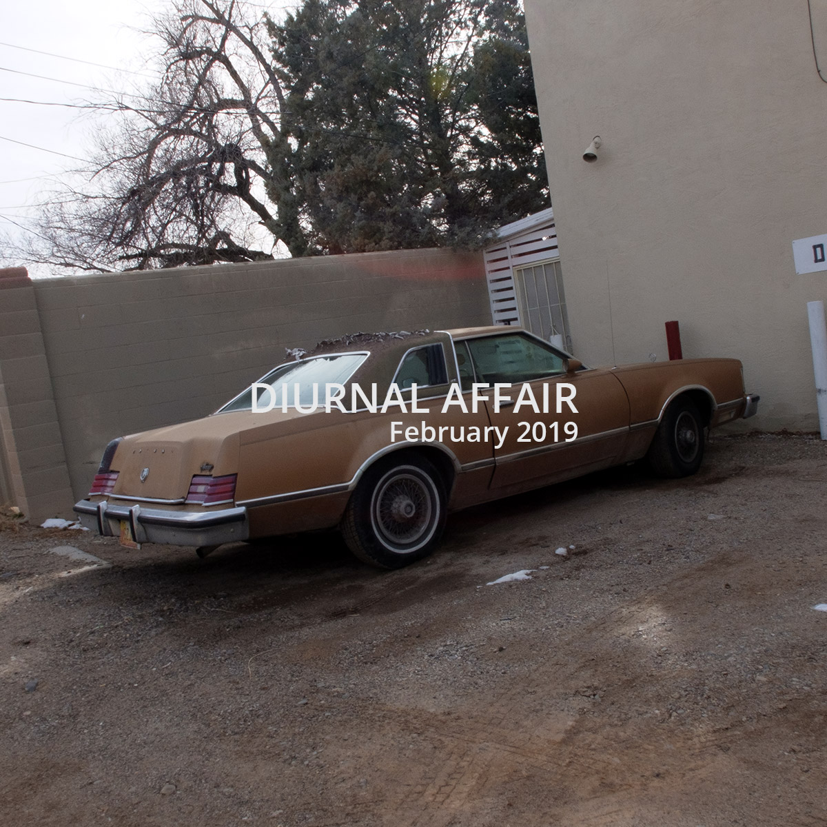 David Bernie Photography Photos Diurnal Affair Project