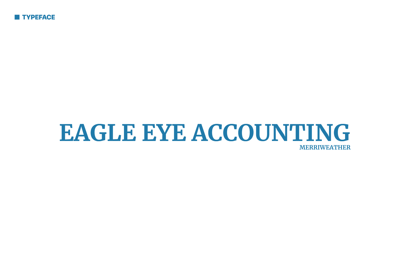 David Bernie Graphic Design Logo Eagle Eye Accounting, LLC Faith Wallowingbull