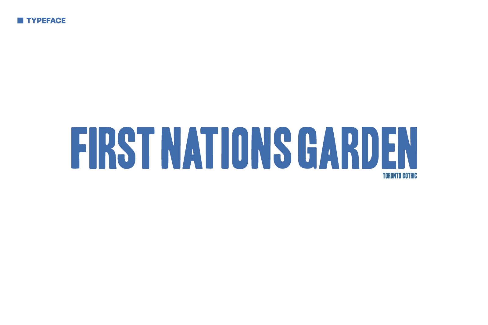 David Bernie Graphic Design Logo First Nations Garden Chicago Chi-Nations Youth Council