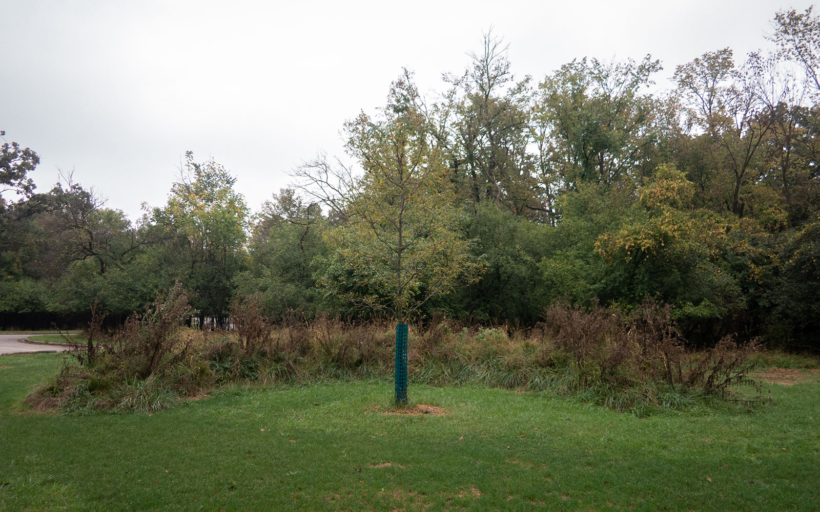 David Bernie Photos Photography Abandoned Twin Serpent Mounds Lawrence Santiago X Chicago Native Art American Indian Center Schiller Woods 4000N Maryrose Pavkovic October 7 2021