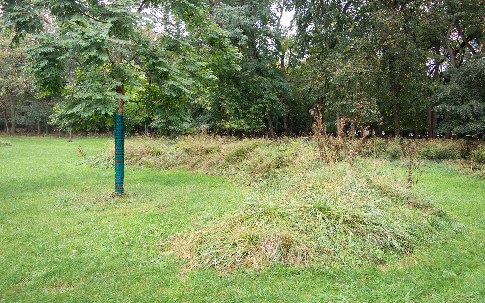 David Bernie Photos Photography Abandoned Twin Serpent Mounds Lawrence Santiago X Chicago Native Art American Indian Center Schiller Woods 4000N Maryrose Pavkovic October 7 2021