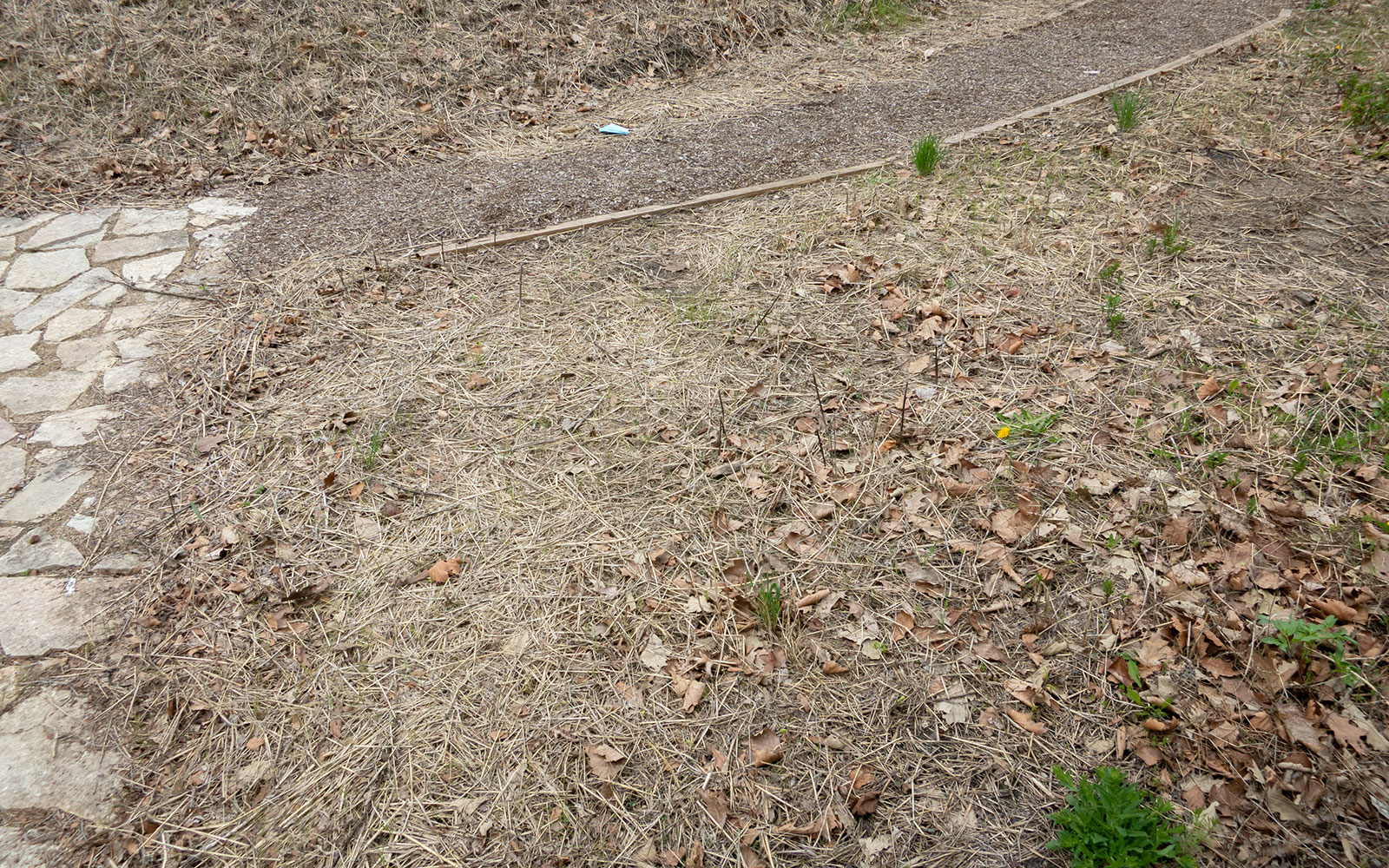 David Bernie Photos Photography Abandoned Coil Mounds Lawrence Santiago X Chicago Native Art American Indian Center AIC Heather Miller Chicago Public Arts Group CPAG Maryrose Pavkovic Horner Park 4000N Northwest Portage Walking Museum Abandoned May 8 2022