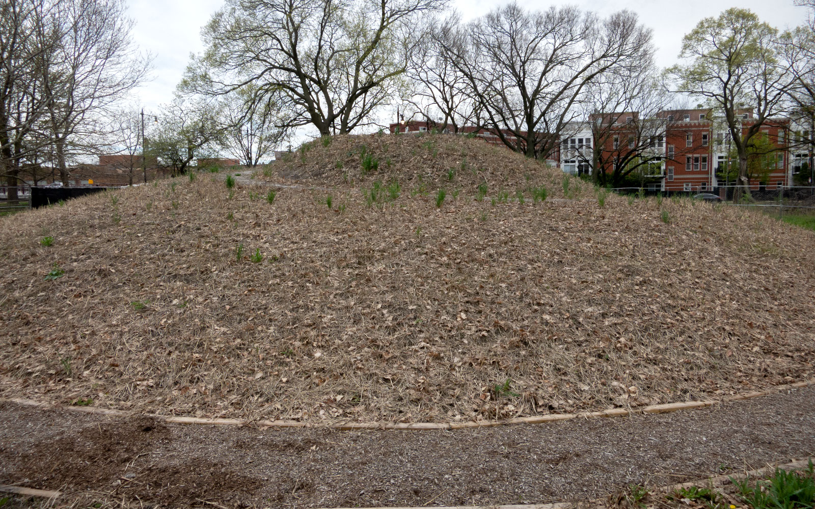 David Bernie Photos Photography Abandoned Coil Mounds Lawrence Santiago X Chicago Native Art American Indian Center AIC Heather Miller Chicago Public Arts Group CPAG Maryrose Pavkovic Horner Park 4000N Northwest Portage Walking Museum Abandoned May 8 2022