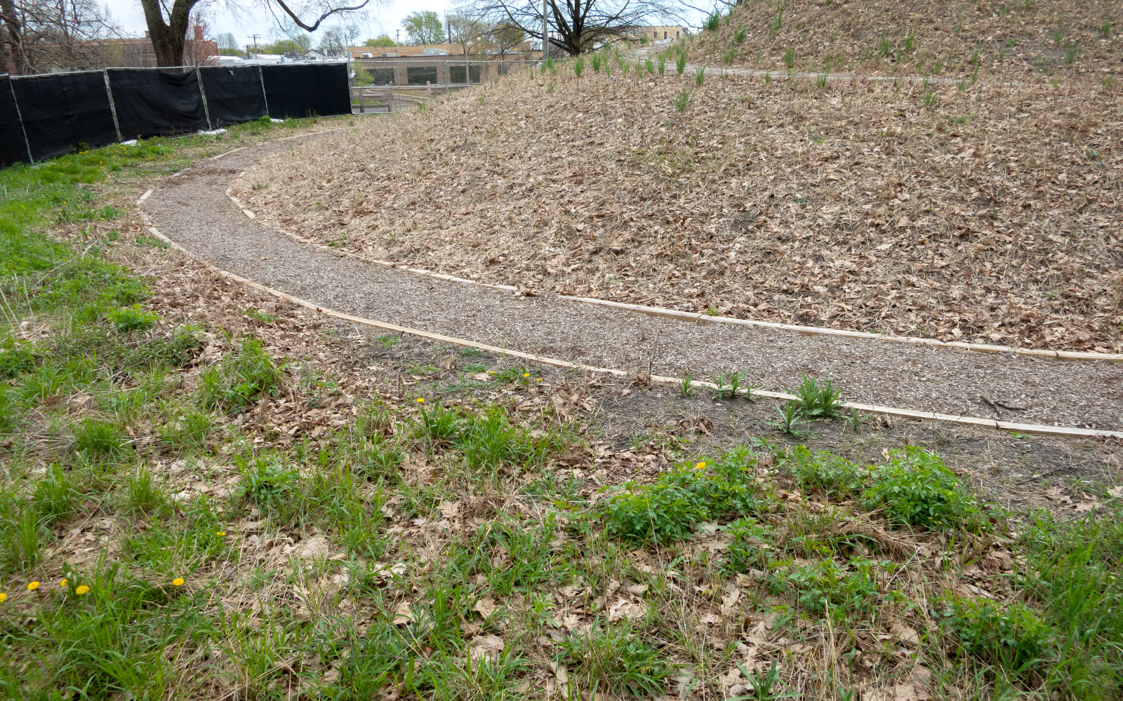 David Bernie Photos Photography Abandoned Coil Mounds Lawrence Santiago X Chicago Native Art American Indian Center AIC Heather Miller Chicago Public Arts Group CPAG Maryrose Pavkovic Horner Park 4000N Northwest Portage Walking Museum Abandoned May 8 2022