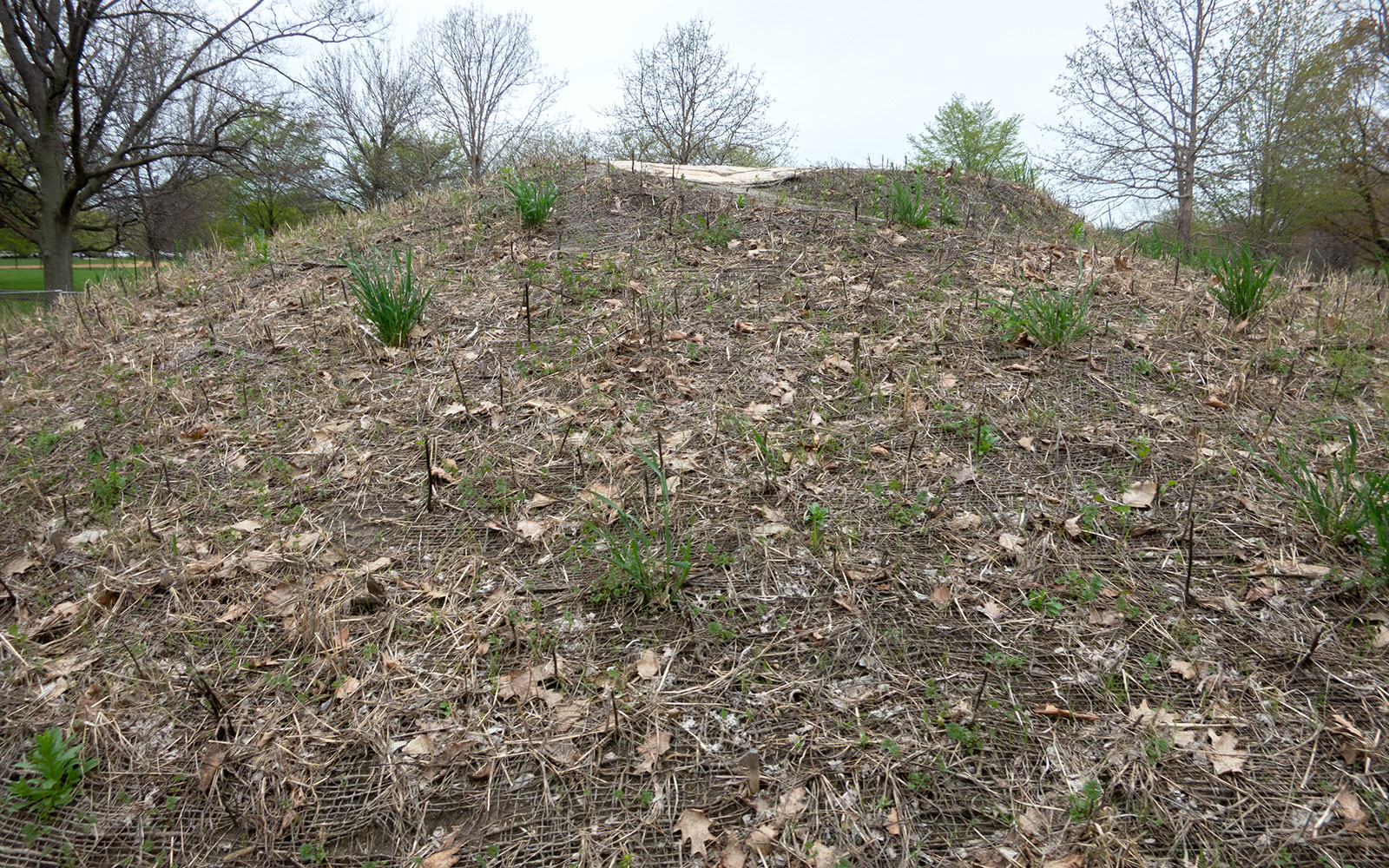 David Bernie Photos Photography Abandoned Coil Mounds Lawrence Santiago X Chicago Native Art American Indian Center AIC Heather Miller Chicago Public Arts Group CPAG Maryrose Pavkovic Horner Park 4000N Northwest Portage Walking Museum Abandoned May 8 2022