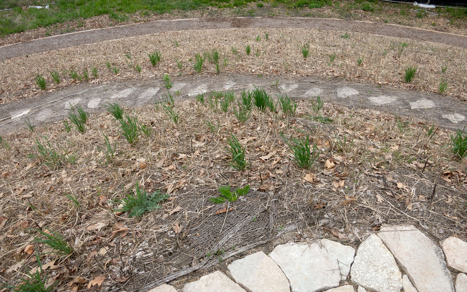 David Bernie Photos Photography Abandoned Coil Mounds Lawrence Santiago X Chicago Native Art American Indian Center AIC Heather Miller Chicago Public Arts Group CPAG Maryrose Pavkovic Horner Park 4000N Northwest Portage Walking Museum Abandoned May 8 2022