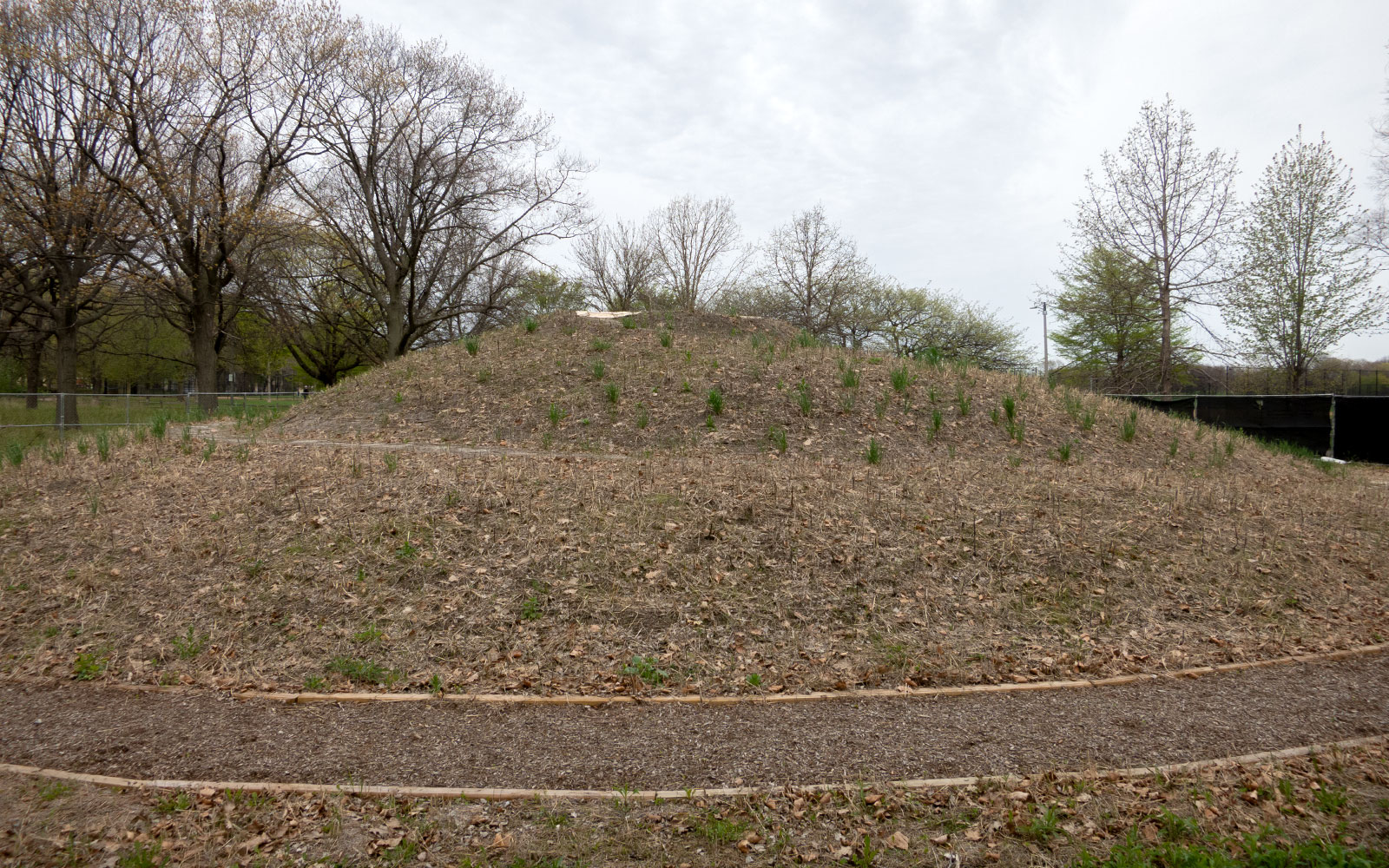 David Bernie Photos Photography Abandoned Coil Mounds Lawrence Santiago X Chicago Native Art American Indian Center AIC Heather Miller Chicago Public Arts Group CPAG Maryrose Pavkovic Horner Park 4000N Northwest Portage Walking Museum Abandoned May 8 2022