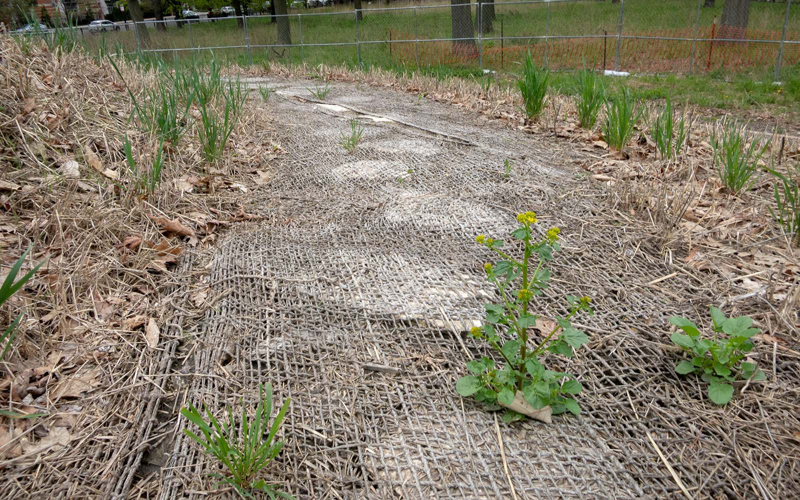 David Bernie Photos Photography Abandoned Coil Mounds Lawrence Santiago X Chicago Native Art American Indian Center AIC Heather Miller Chicago Public Arts Group CPAG Maryrose Pavkovic Horner Park 4000N Northwest Portage Walking Museum Abandoned May 8 2022