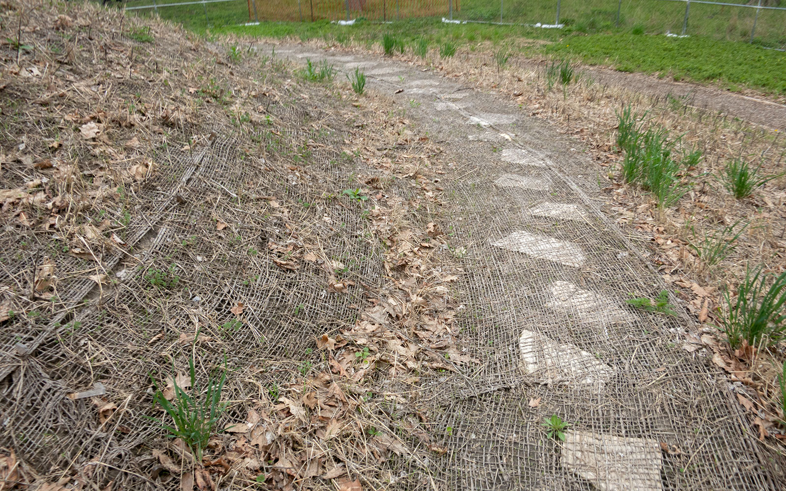 David Bernie Photos Photography Abandoned Coil Mounds Lawrence Santiago X Chicago Native Art American Indian Center AIC Heather Miller Chicago Public Arts Group CPAG Maryrose Pavkovic Horner Park 4000N Northwest Portage Walking Museum Abandoned May 8 2022