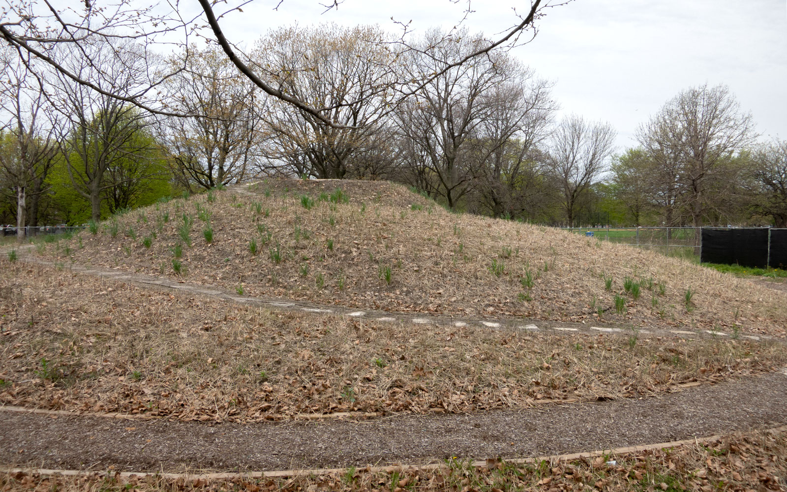 David Bernie Photos Photography Abandoned Coil Mounds Lawrence Santiago X Chicago Native Art American Indian Center AIC Heather Miller Chicago Public Arts Group CPAG Maryrose Pavkovic Horner Park 4000N Northwest Portage Walking Museum Abandoned May 8 2022