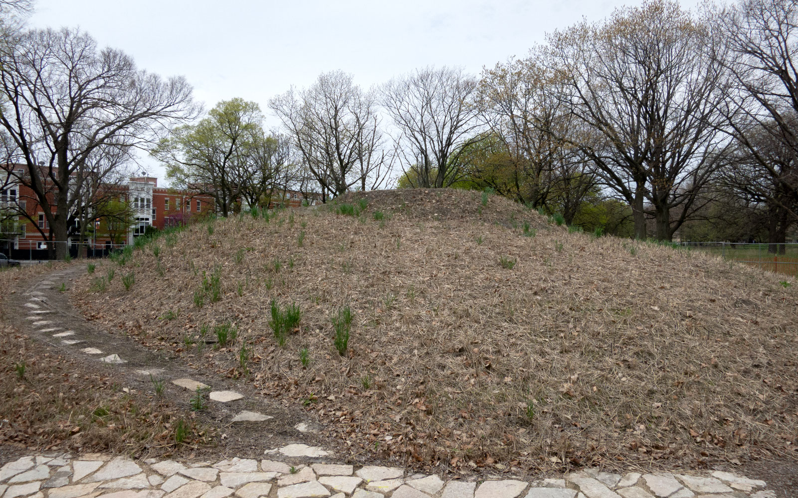 David Bernie Photos Photography Abandoned Coil Mounds Lawrence Santiago X Chicago Native Art American Indian Center AIC Heather Miller Chicago Public Arts Group CPAG Maryrose Pavkovic Horner Park 4000N Northwest Portage Walking Museum Abandoned May 8 2022