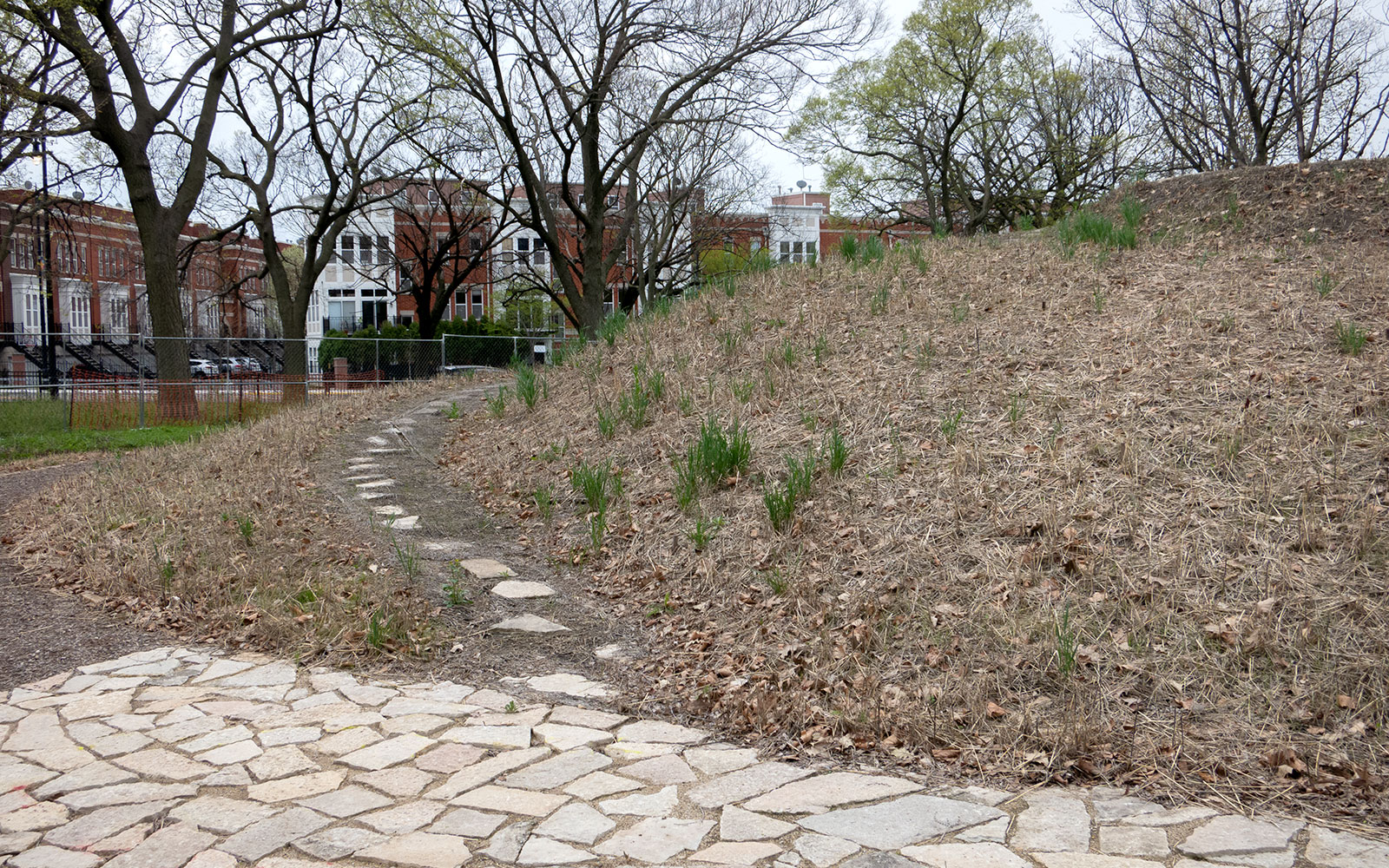 David Bernie Photos Photography Abandoned Coil Mounds Lawrence Santiago X Chicago Native Art American Indian Center AIC Heather Miller Chicago Public Arts Group CPAG Maryrose Pavkovic Horner Park 4000N Northwest Portage Walking Museum Abandoned May 8 2022