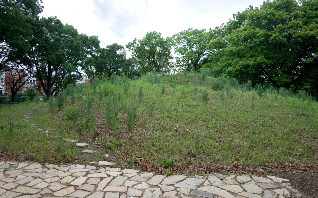 David Bernie Photos Photography Abandoned Coil Mounds Land Art Lawrence Santiago X Chicago Native Art American Indian Center AIC Heather Miller Chicago Public Arts Group CPAG Maryrose Pavkovic Horner Park 4000N Northwest Portage Walking Museum Abandoned June 6 2022