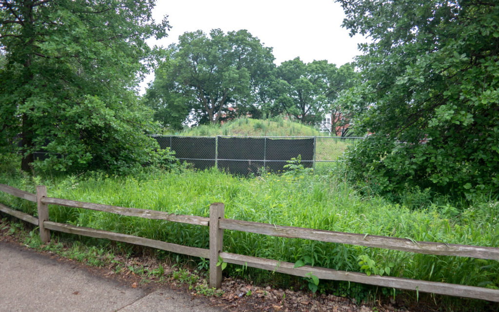 David Bernie Photos Photography Abandoned Coil Mounds Land Art Lawrence Santiago X Chicago Native Art American Indian Center AIC Heather Miller Chicago Public Arts Group CPAG Maryrose Pavkovic Horner Park 4000N Northwest Portage Walking Museum Abandoned June 6 2022