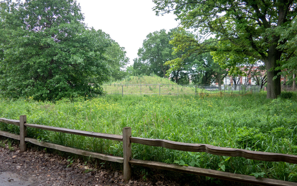 David Bernie Photos Photography Abandoned Coil Mounds Land Art Lawrence Santiago X Chicago Native Art American Indian Center AIC Heather Miller Chicago Public Arts Group CPAG Maryrose Pavkovic Horner Park 4000N Northwest Portage Walking Museum Abandoned June 6 2022