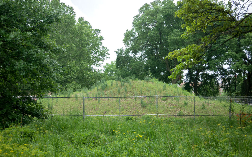 David Bernie Photos Photography Abandoned Coil Mounds Land Art Lawrence Santiago X Chicago Native Art American Indian Center AIC Heather Miller Chicago Public Arts Group CPAG Maryrose Pavkovic Horner Park 4000N Northwest Portage Walking Museum Abandoned June 6 2022