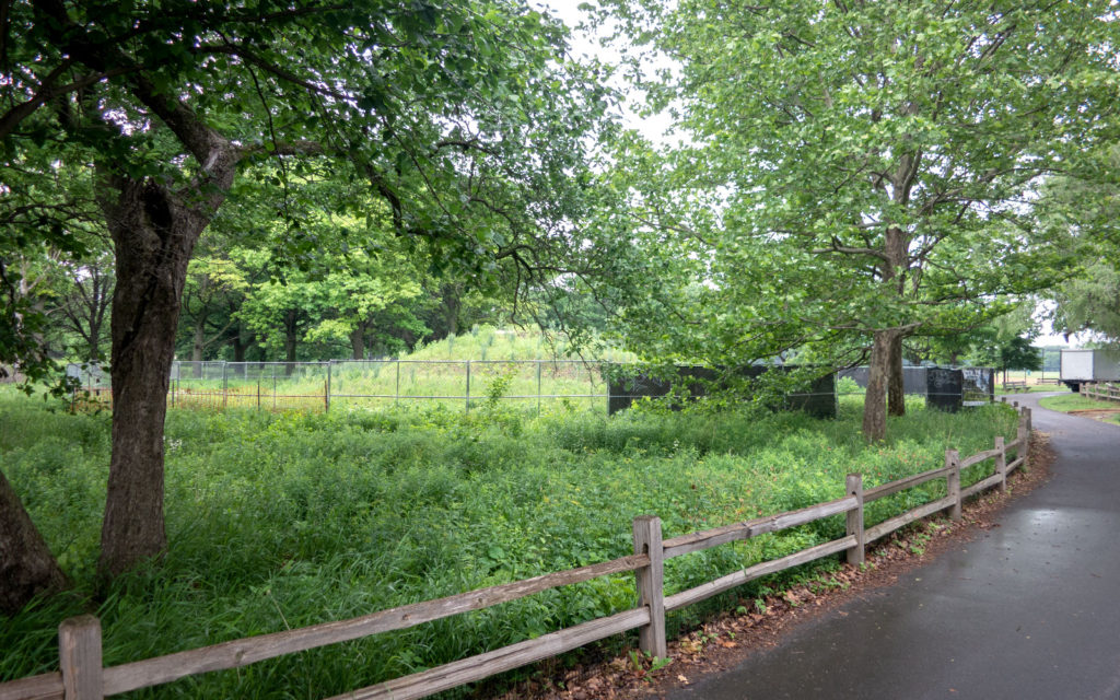 David Bernie Photos Photography Abandoned Coil Mounds Land Art Lawrence Santiago X Chicago Native Art American Indian Center AIC Heather Miller Chicago Public Arts Group CPAG Maryrose Pavkovic Horner Park 4000N Northwest Portage Walking Museum Abandoned June 6 2022