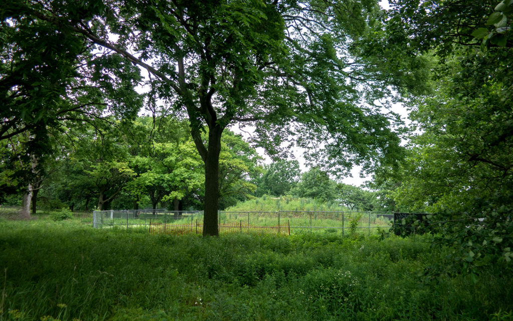 David Bernie Photos Photography Abandoned Coil Mounds Land Art Lawrence Santiago X Chicago Native Art American Indian Center AIC Heather Miller Chicago Public Arts Group CPAG Maryrose Pavkovic Horner Park 4000N Northwest Portage Walking Museum Abandoned June 6 2022