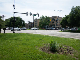 David Bernie Photos Photography Little Village Plant Society Boulevard Gardens Chicago South Side Native Plants Prairie Garden Spring June 2022