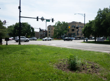 David Bernie Photos Photography Little Village Plant Society Boulevard Gardens Chicago South Side Native Plants Prairie Garden Spring June 2022