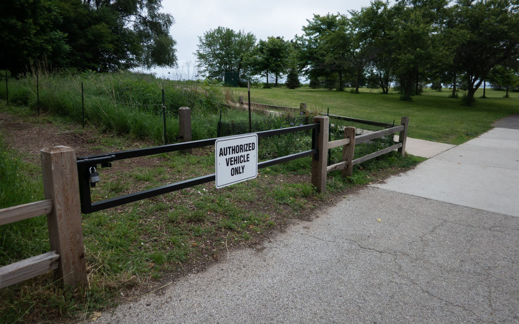 David Bernie Photos Photography Neglected Eastern Prickly Pear Cactus Montrose Point Bird Sanctuary The Magic Hedge Lincoln Park Chicago Native Plants Prairie Garden Chicago Parks District June 2022