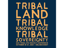 David Bernie Graphic Design Logo Tribal EPA Region 9 Conference Theme 2021