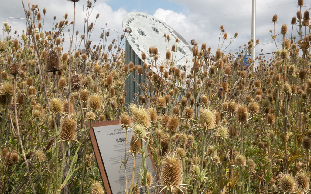 David Bernie Photos Photography Abandoned Metal Sculpture Jame Topper Lawrence Santiago X Chicago Native Art American Indian Center AIC Heather Miller Chicago Public Arts Group CPAG Maryrose Pavkovic Dunning Read Conservation Area 4000N Northwest Portage Walking Museum