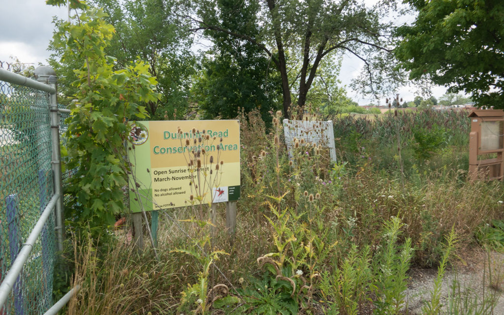 David Bernie Photos Photography Abandoned Metal Sculpture Jame Topper Lawrence Santiago X Chicago Native Art American Indian Center AIC Heather Miller Chicago Public Arts Group CPAG Maryrose Pavkovic Dunning Read Conservation Area 4000N Northwest Portage Walking Museum