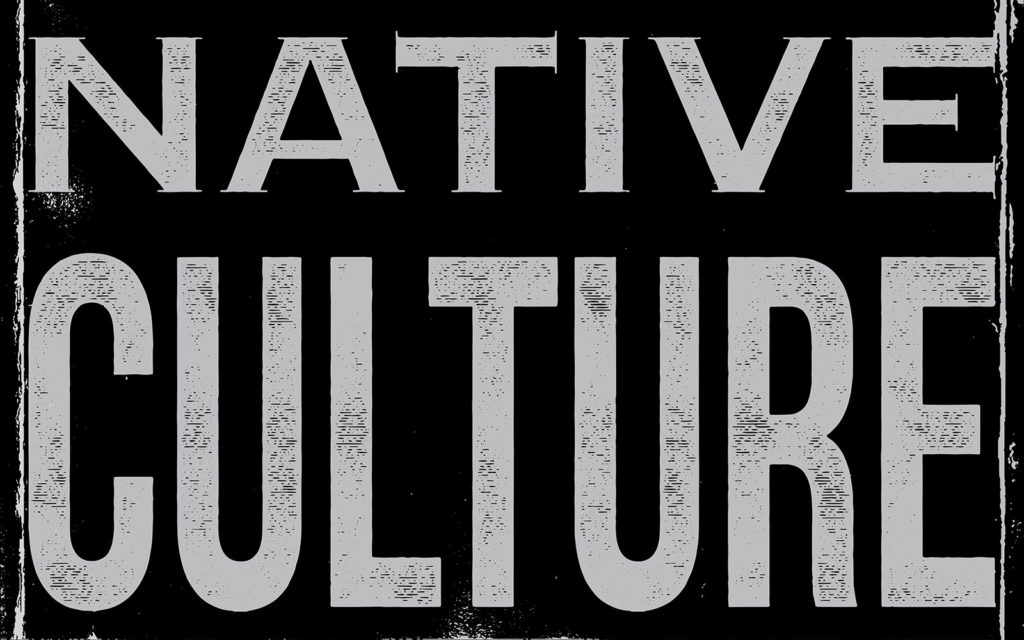 David Bernie Art Posters Print This is Native America 10 Stop Capitalizing on Native Culture