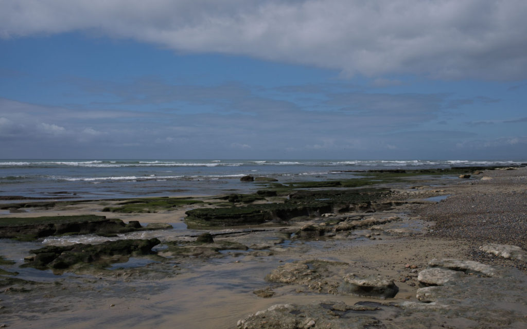 David Bernie Photos Photography Encinitas California Swami's Beach Ocean Fuji x100v Provia March 4, 2023