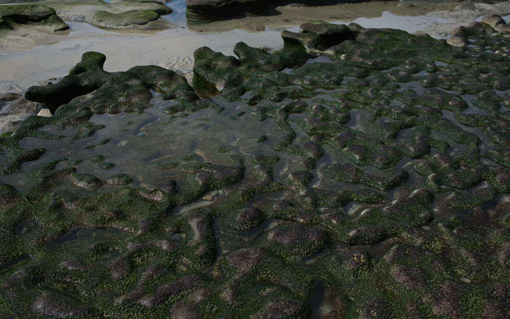 David Bernie Photos Photography Encinitas California Swami's Beach Ocean Fuji x100v Provia March 4, 2023