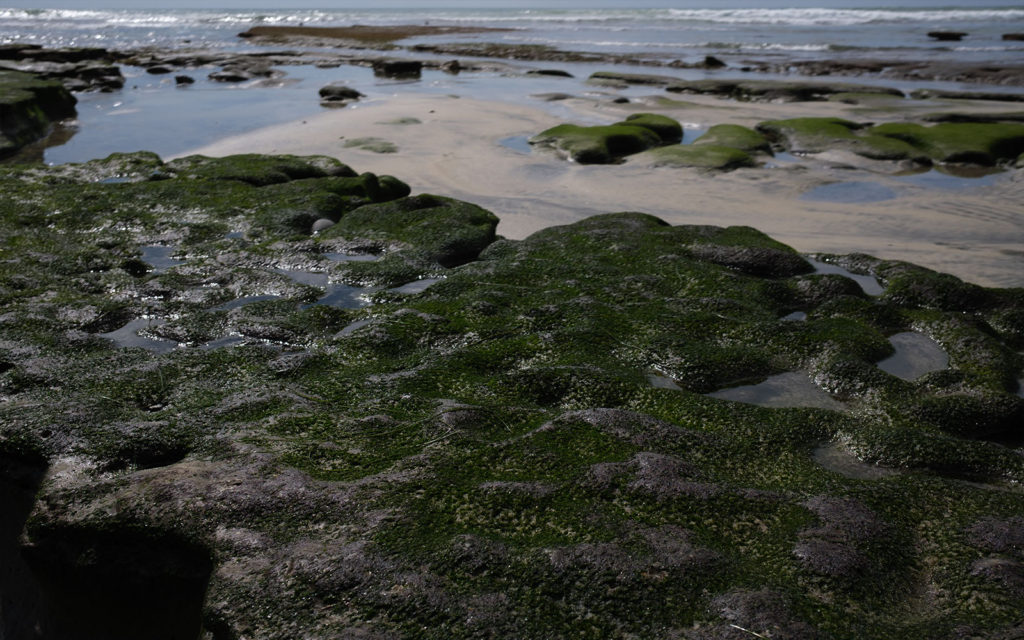 David Bernie Photos Photography Encinitas California Swami's Beach Ocean Fuji x100v Provia March 4, 2023