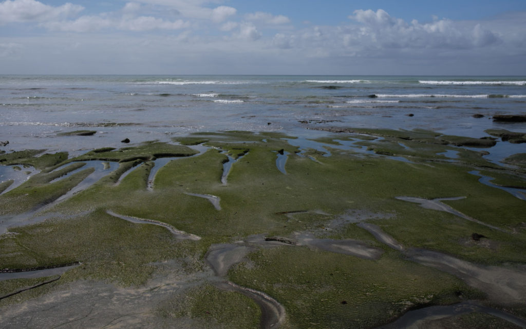 David Bernie Photos Photography Encinitas California Swami's Beach Ocean Fuji x100v Provia March 4, 2023