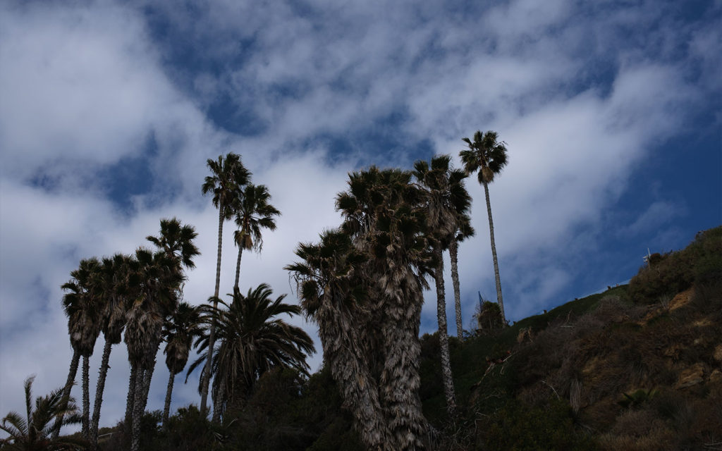 David Bernie Photos Photography Encinitas California Swami's Beach Ocean Fuji x100v Provia March 4, 2023